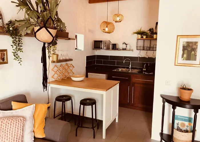 Bodega Botanica - Shared Pool - Island Location - 10 Mins Drive To Famara And La Santa Tiagua