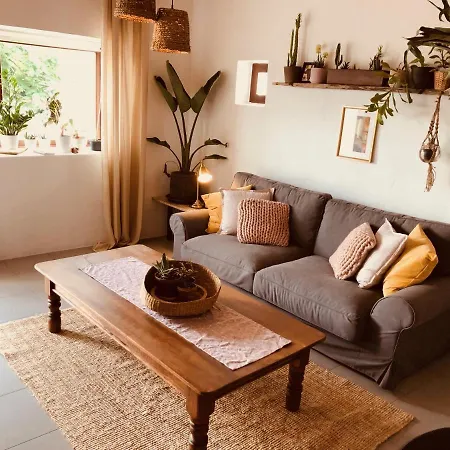 Daire Bodega Botanica - Shared Pool - Island Location - 10 Mins Drive To Famara And La Santa Tiagua