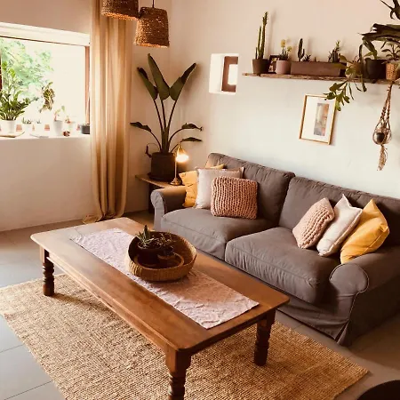 Apartment Bodega Botanica - Shared Pool - Island Location - 10 Mins Drive To Famara And La Santa Tiagua