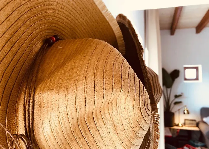 Daire Bodega Botanica - Shared Pool - Island Location - 10 Mins Drive To Famara And La Santa Tiagua